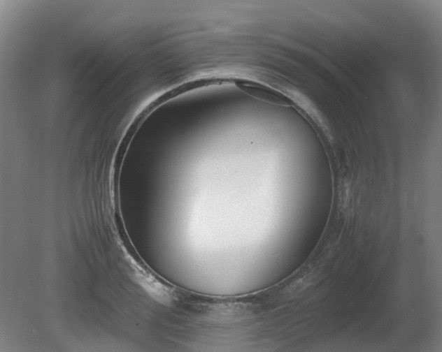 X0000081430988200701191617