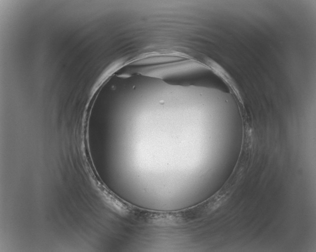 X0000081431002200701191617