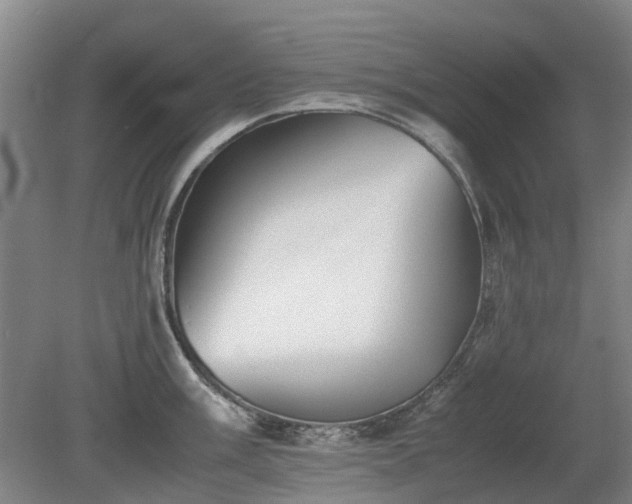 X0000081431003200701191617