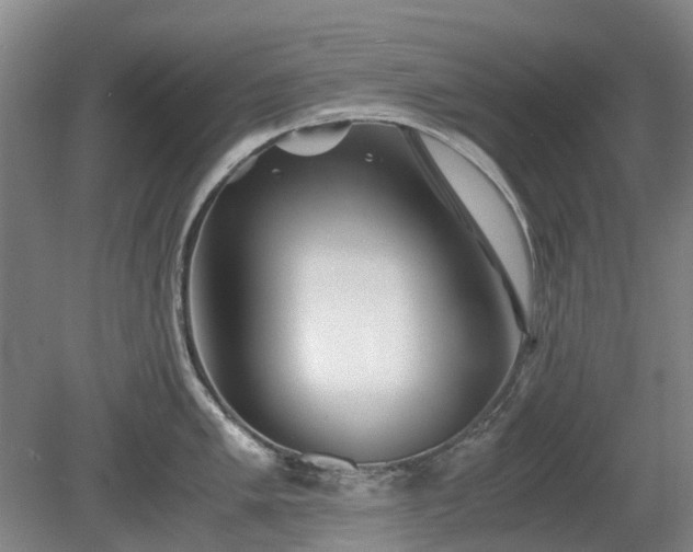 X0000081431005200701191617