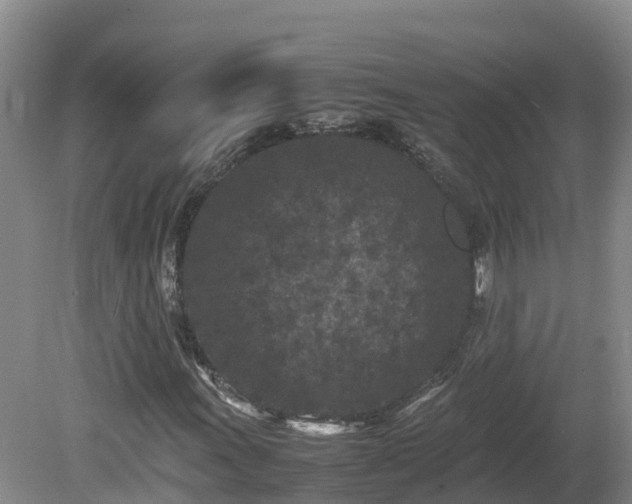 X0000081431011200701191616