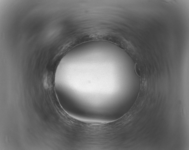 X0000081431012200701191616