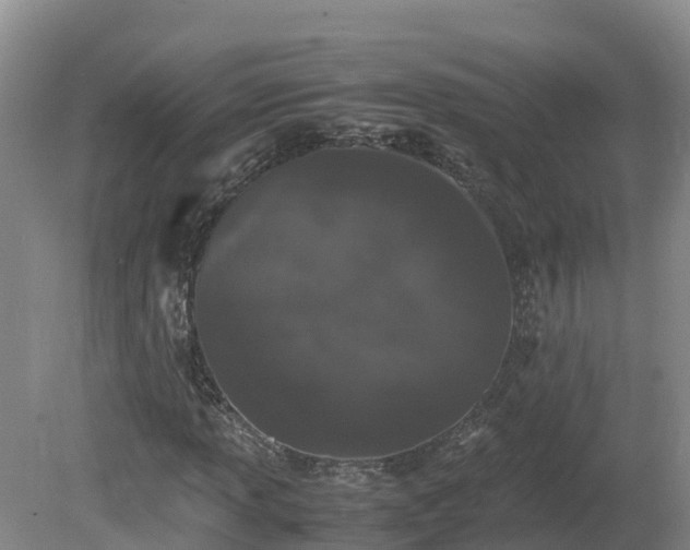 X0000081431013200701191616