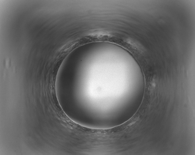 X0000081431014200701191616