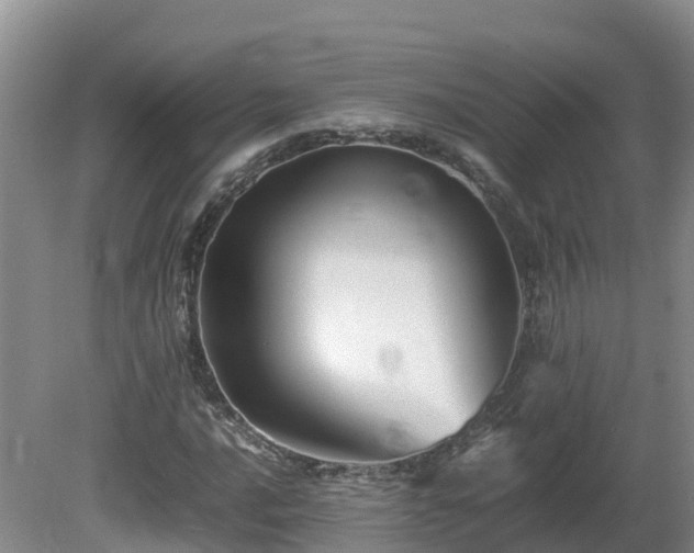 X0000081431016200701191616