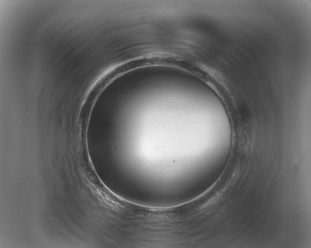 X0000081431021200701191616