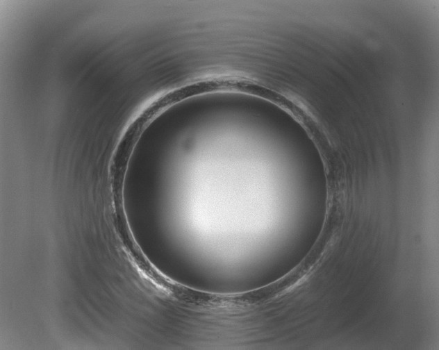 X0000081431022200701191616