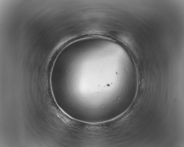 X0000081431027200701191616