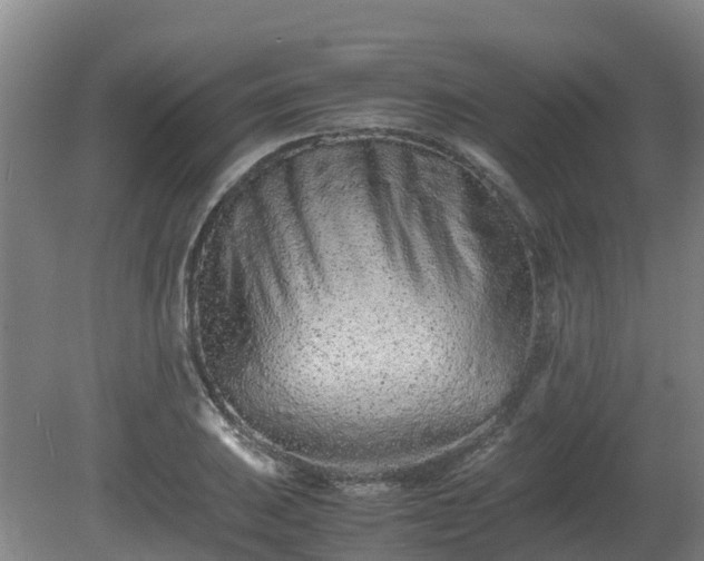 X0000081431031200701191616
