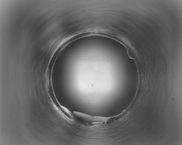 X0000081431032200701191616