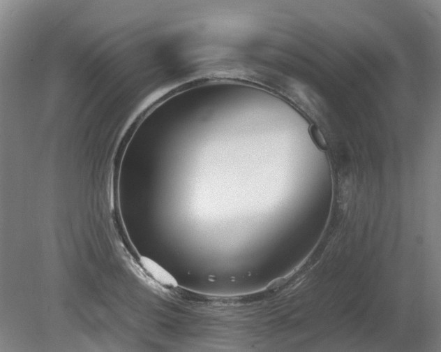 X0000081431036200701191616