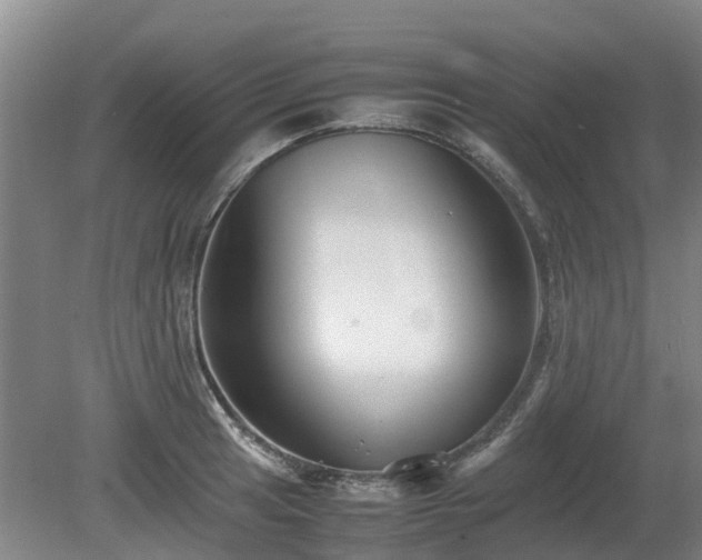 X0000081431041200701191617