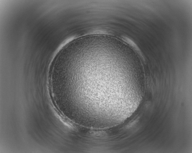 X0000081431043200701191617
