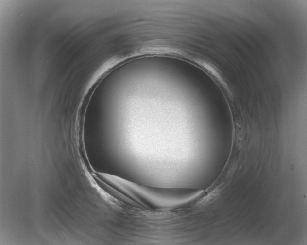 X0000081431046200701191617