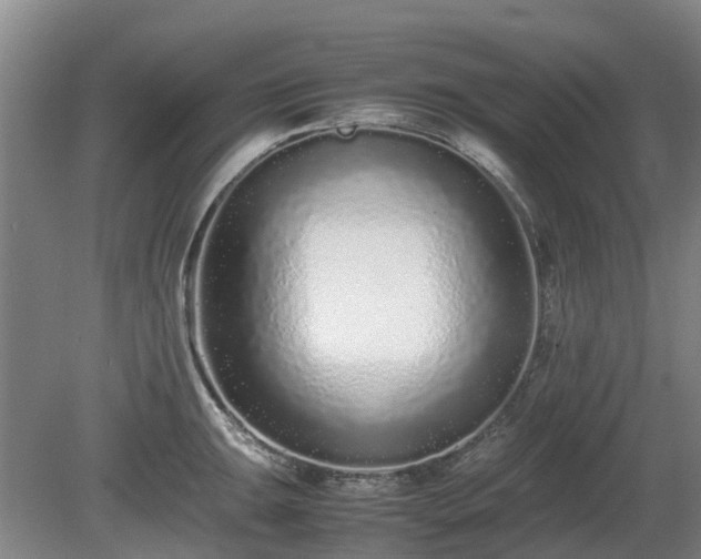 X0000081431047200701191617