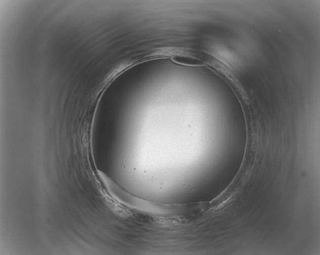 X0000081431049200701191617