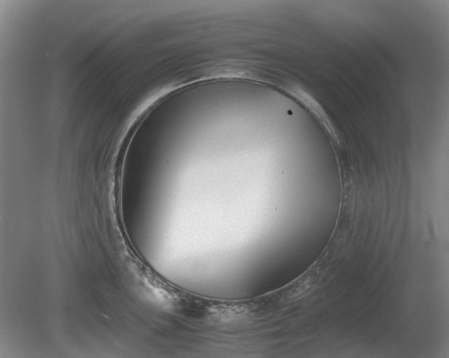 X0000081431051200701191617