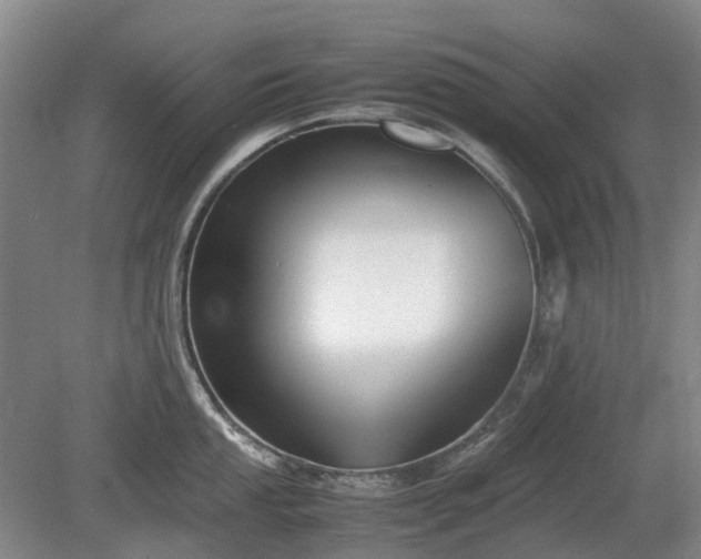 X0000081431053200701191617