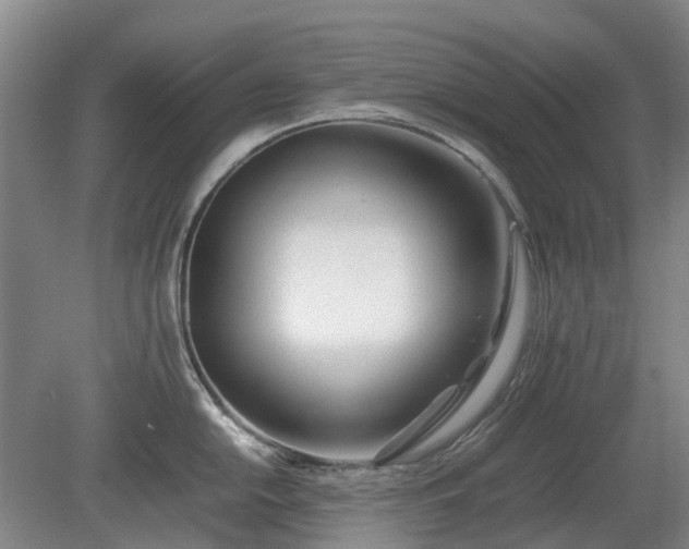 X0000081431054200701191617
