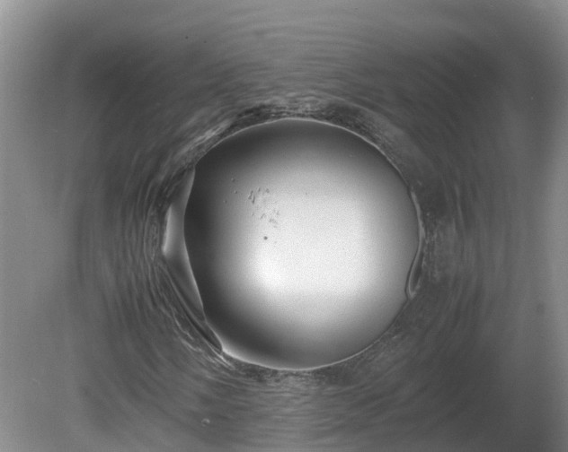 X0000081431058200701191616