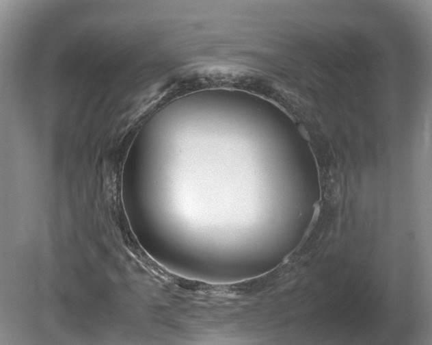 X0000081431061200701191616