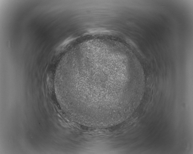X0000081431063200701191616