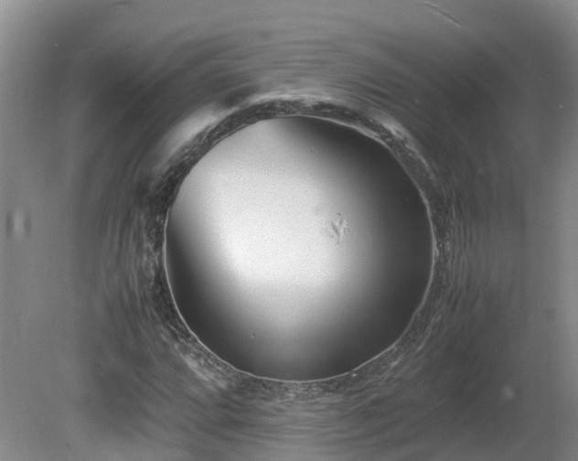 X0000081431064200701191616