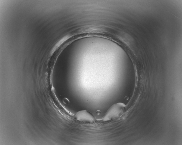 X0000081431066200701191616