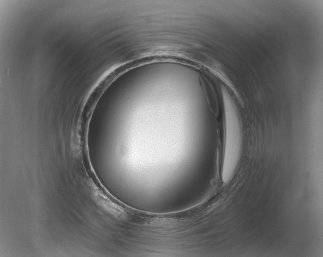 X0000081431068200701191616