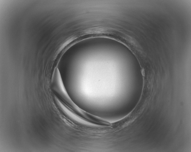X0000081431073200701191616