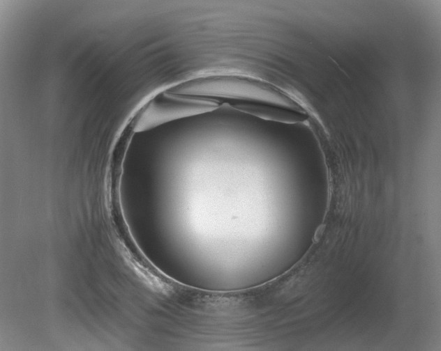 X0000081431076200701191616