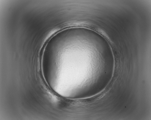 X0000081431079200701191616