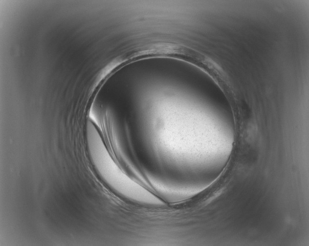 X0000081431081200701191616