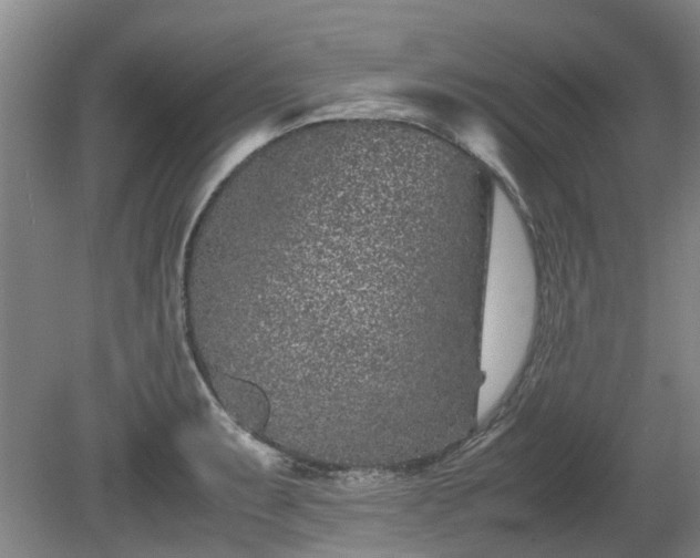X0000081431087200701191616