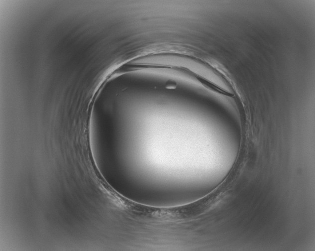 X0000081431089200701191615