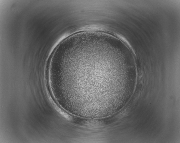 X0000081431091200701191615
