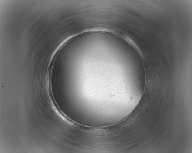 X0000081431092200701191615
