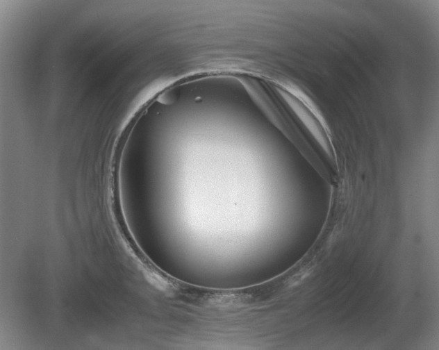 X0000081431093200701191615