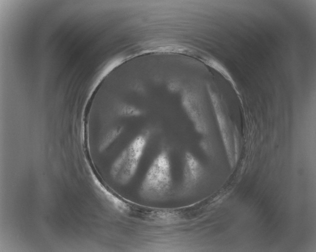 X0000081431095200701191615