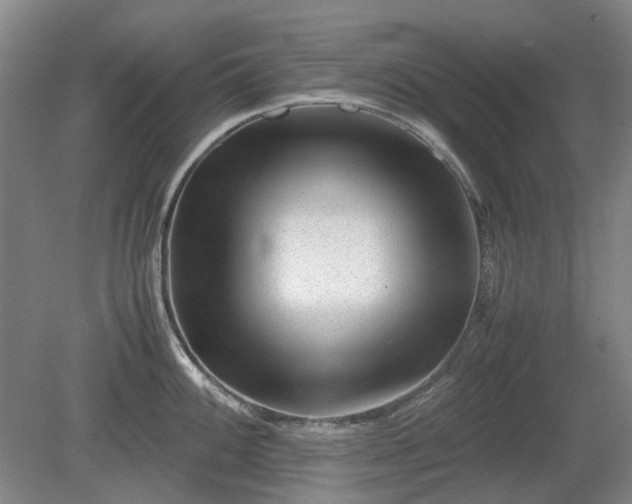 X0000081431100200701191615