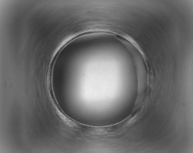 X0000081431101200701191615