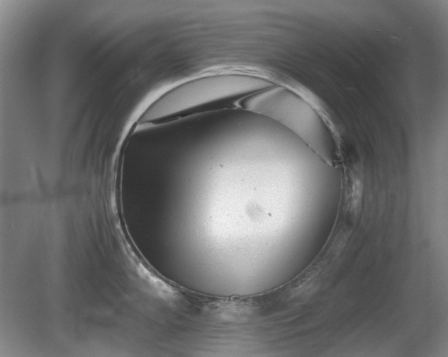 X0000081431102200701191615