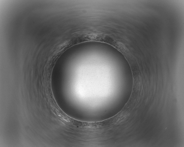 X0000081431105200701191614