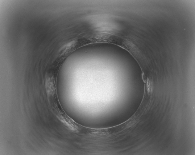 X0000081431107200701191614
