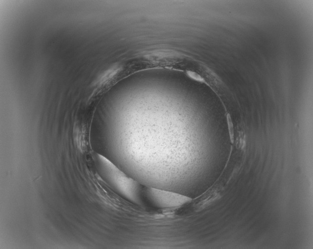 X0000081431108200701191614