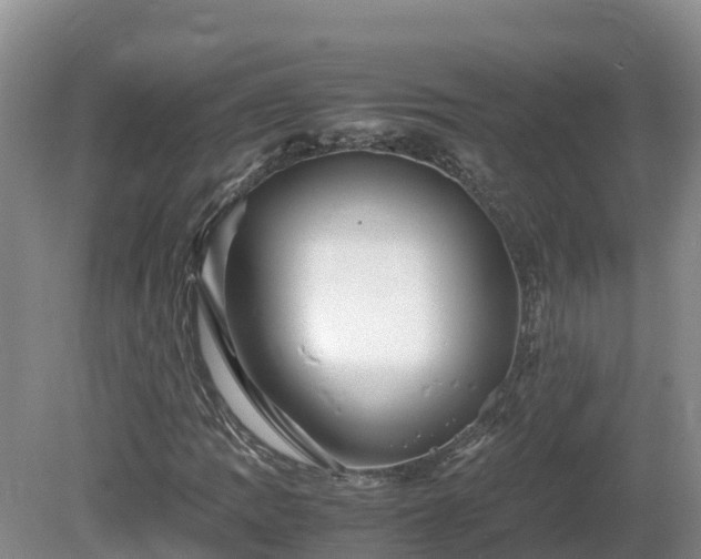 X0000081431109200701191614