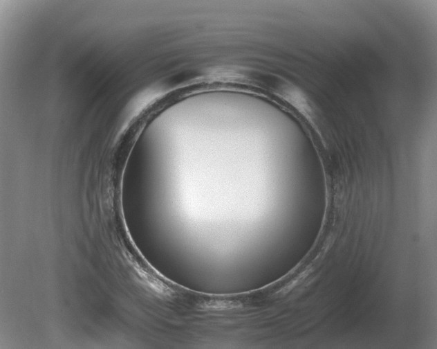 X0000081431115200701191615