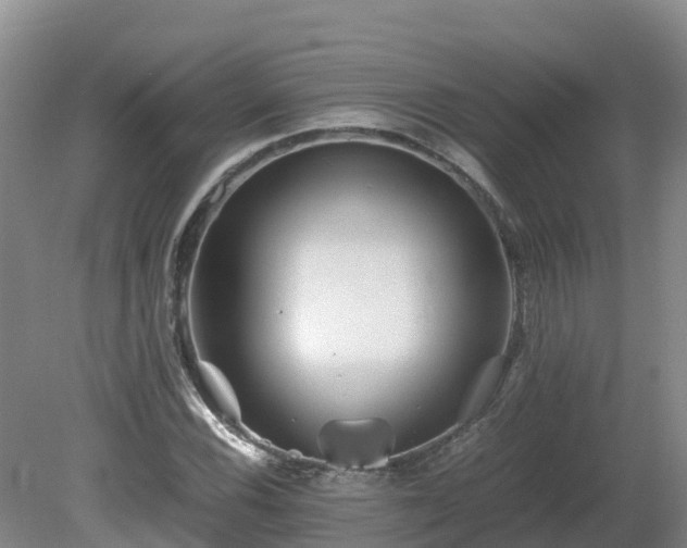 X0000081431116200701191615