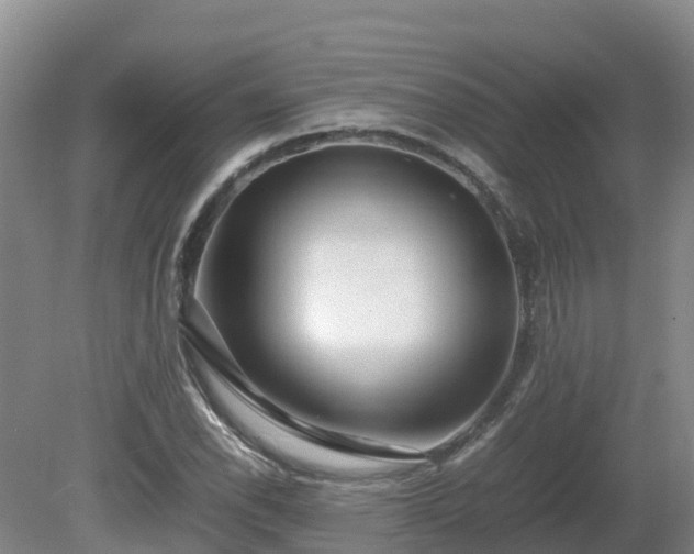 X0000081431118200701191615