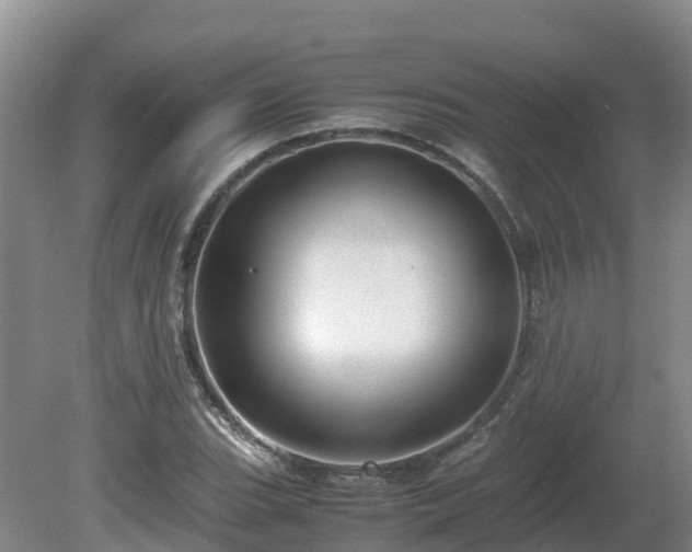 X0000081431119200701191615